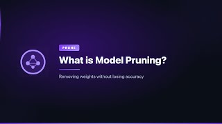 What is Model Pruning
