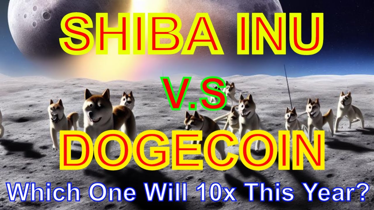SHIBA INU V.S DOGECOIN | Which MEME Coin Will Explode This Year? | The ...