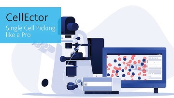 Cell Picking like a Pro - MMI CellEctor