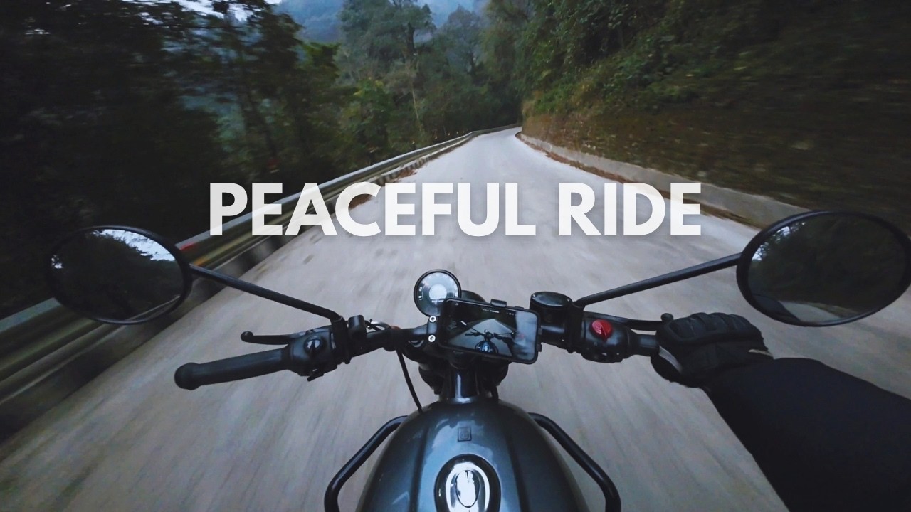 Royal Enfield Hunter 350 POV | Forest Curves & Beautiful Hill Ride