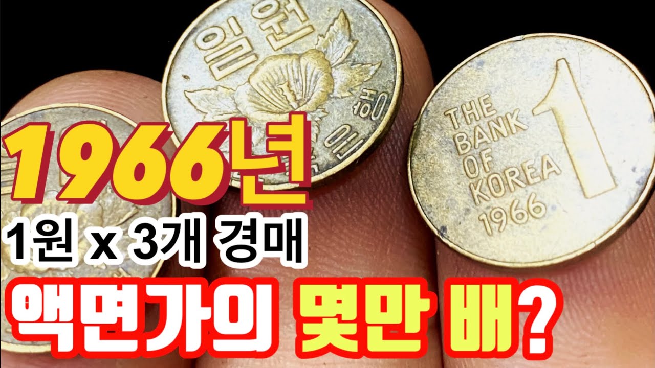 [예술가의 희귀동전] 동전수집 동전경매로 1966년 1원 일원 팔기! 희귀년도 특년도 일주 현행주화 초년도 동전 수집 판매처 ...