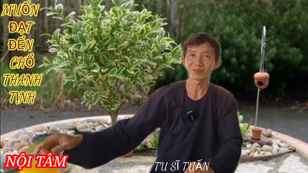 TU SĨ TUẤN : MUỐN ĐẠT ĐẾN CHỔ THANH TỊNH NỘI TÂM.