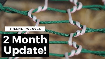 How Long Do Treenets Last? - 2 Month Update