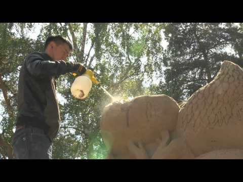 Art Meets Sand