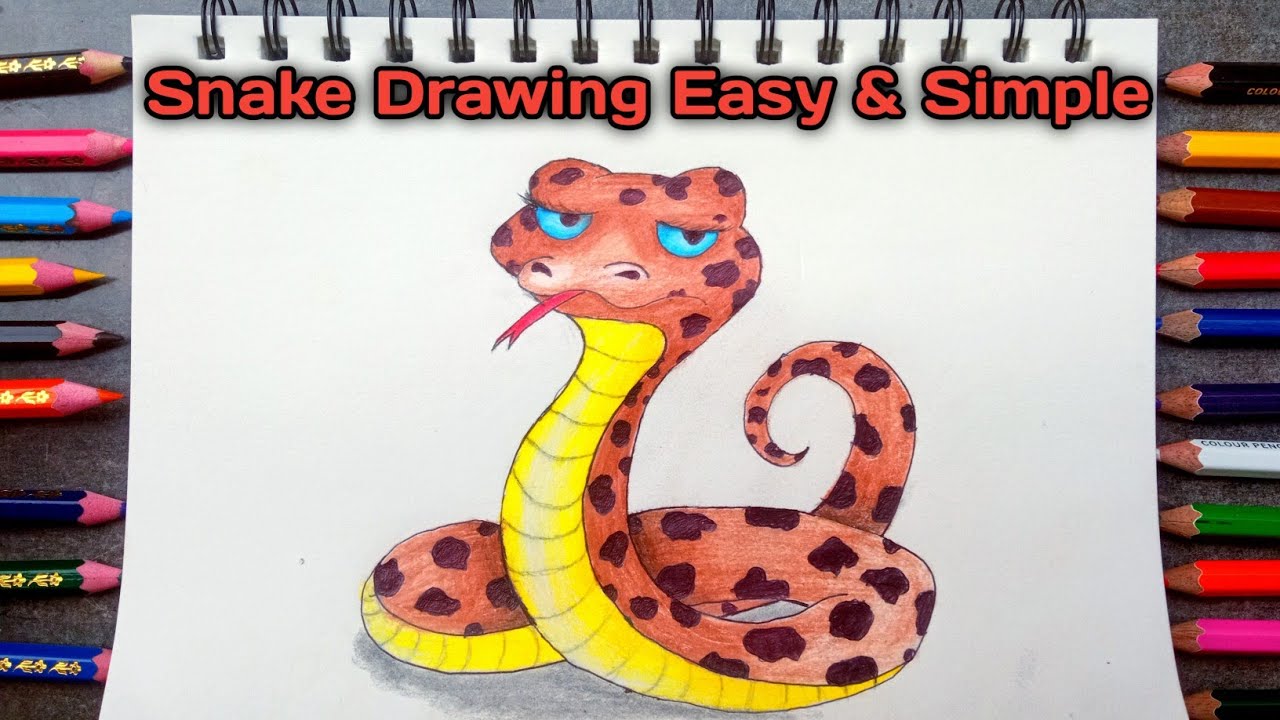 How To Draw A Snake || Snake Drawing Step by Step || Snake Drawing Easy || Easy Animals Drawing 