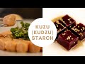 Kuzu kudzu starch  2 modernist recipes