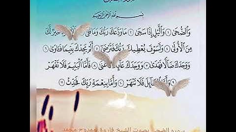 سوره الضحى بصوت بصوت القارئ الشيخ فاروق ممدوح محمد