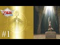 Guía 100% | Zelda Skyward Sword HD Modo Héroe - ¡Empieza la aventura! #1