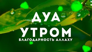 Самые лучшие дуа  - дуа благодарность Аллаху за всё  - Сильный дуа успеха в работе