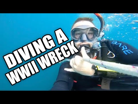 Scuba Diving the S.S Gulfamerica in Jacksonville 🤿🌴🐠