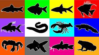 My Pets: Eel, Lobster, Bichir, Corydoras, Frog, Loach, Goldfish, Crab, Cichlid, Bala shark, Glofish