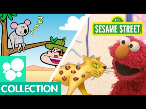 Sesame Street: Wild Animals | Elmo&#;s World