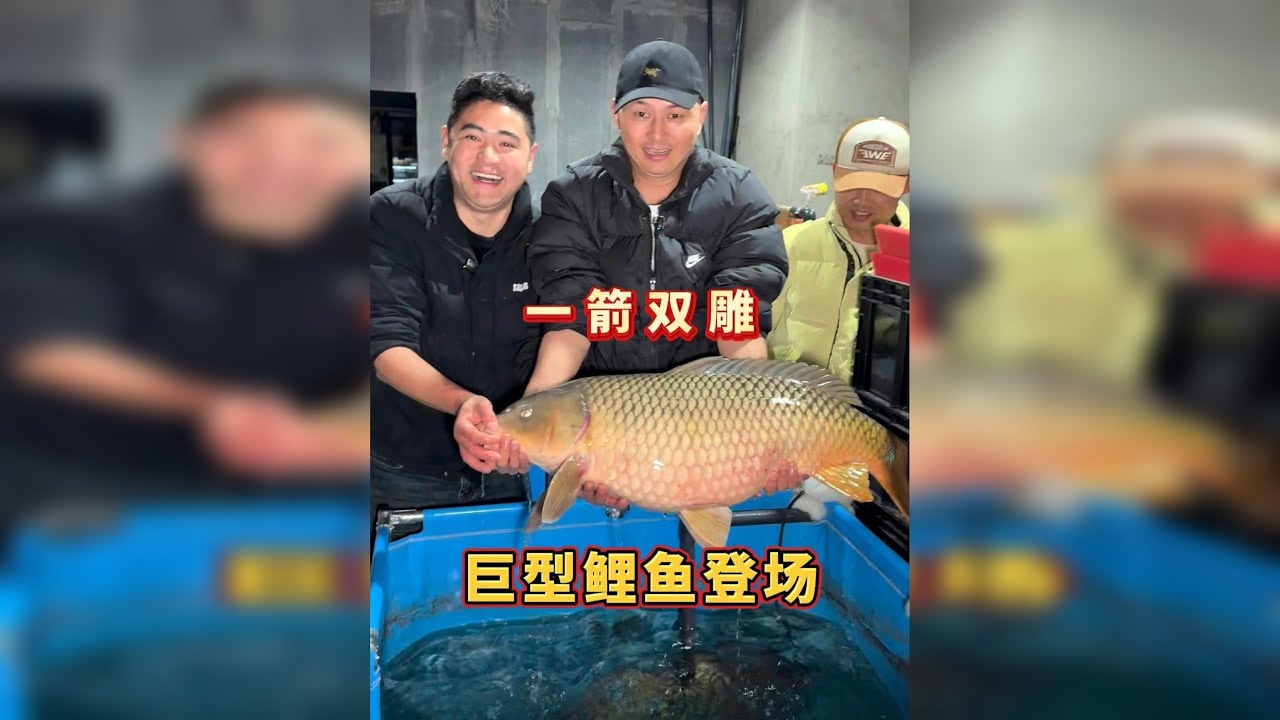 巨型鲤鱼登场,千里送超大鳡鱼只是开胃菜,惊喜在后头! @利川鸳鸯峡生态鱼养殖场(朱二毛) @豆鱼先生创业版 @豆鱼先生剧透版 - YouTube
