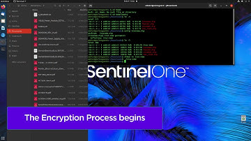 Ransomware on Linux - RansomEXX VS SentinelOne - Detect Mode