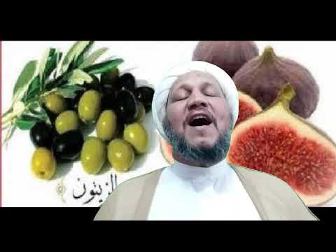 فوائد أكل التين والزيتون معا والتين والزيتون سبحان الخالق