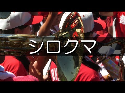智弁和歌山 シロクマ 応援歌 2019夏 第101回 高校野球