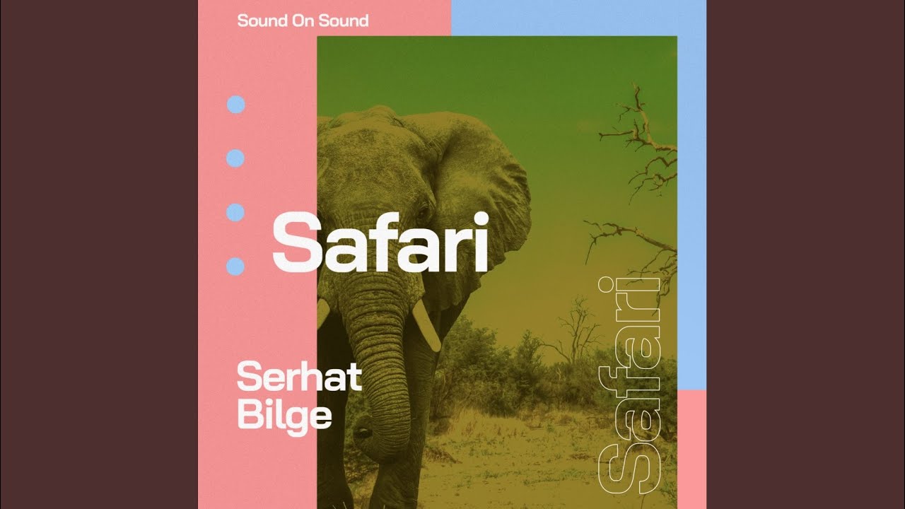 Watch Safari on YouTube