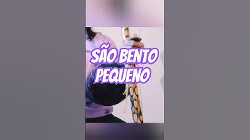 🕊️ São Bento Pequeno no Berimbau – 60 BPM