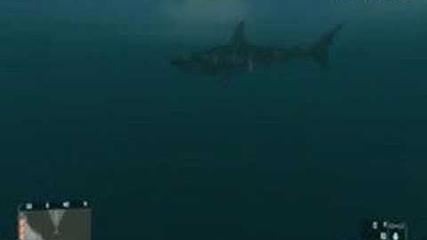 Shark in Crysis (AMD Sempron = laggy game)