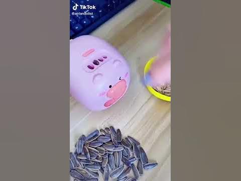 аппарат для чистки семечек #Shorts - YouTube