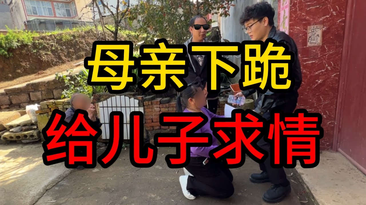 赌狗诈骗后看着母亲下跪，必须给他送进去！