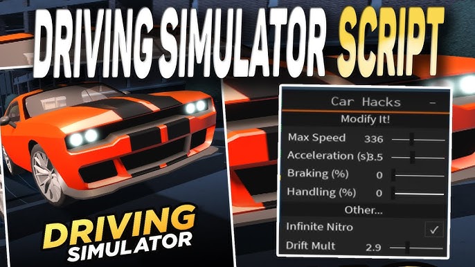 Driving Simulator Scripts