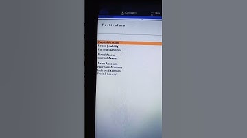 Trial Balance को Ledger wise देखना #shorts #Ledger #shortsvideo #TrialBalance #short