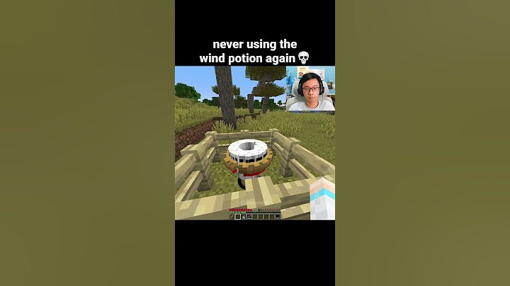 Minecraft Wind Potion Moment