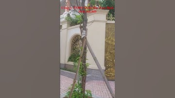 Cổng tự động Thái Nguyên