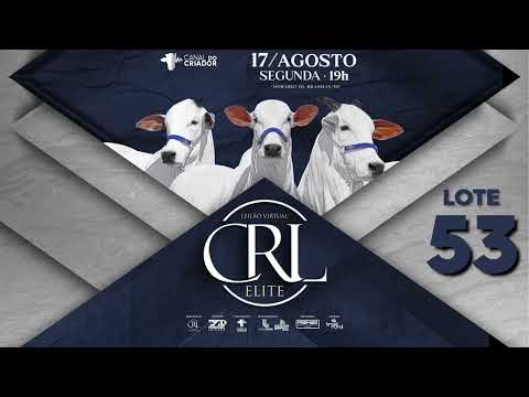 LOTE 53   NCRL 772