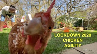 Lockdown - Chicken Agility Challenge