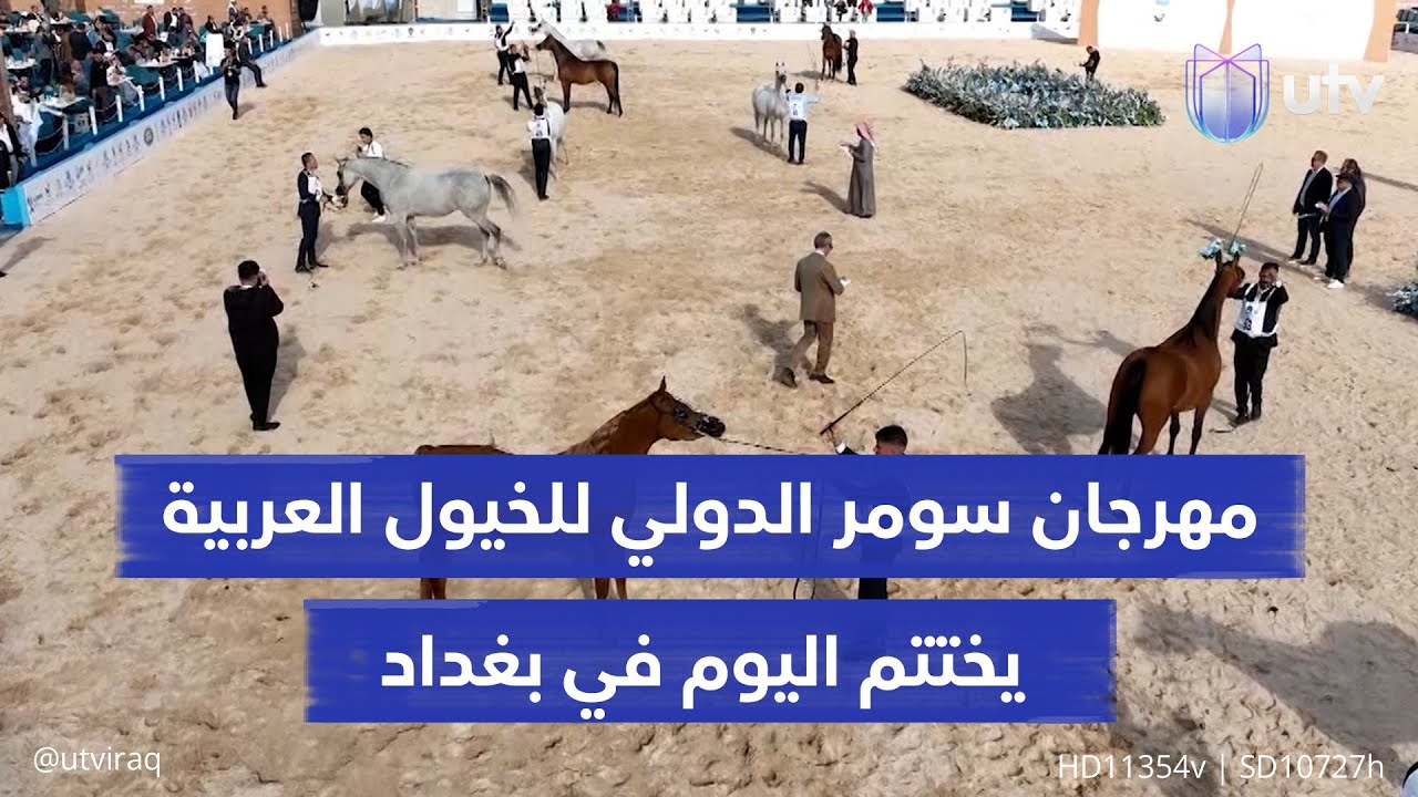 مهرجان سومر الدولي للخيول العربية يختتم اليوم في بغداد.. جوائز للأجمل والتنظيم يحظى بإشادة