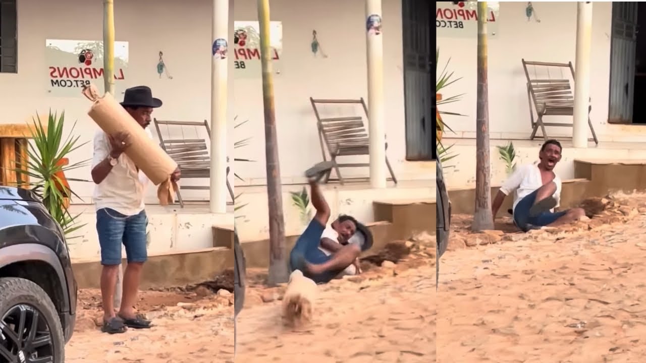 Charlles trola tiringa com um pombinho correio gigante 😂 ( comédia selvagem )