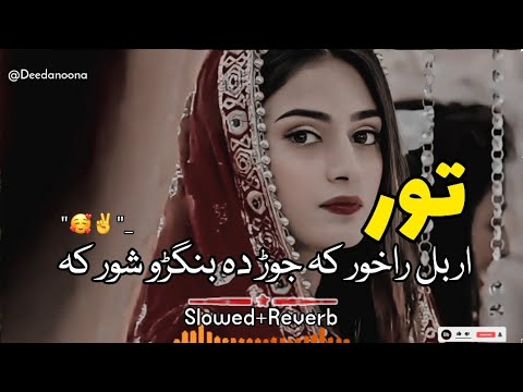 Tor Orbal Ra Khor Ka Jor Da Bangro Shor Ka   Slowed And Reverb  Pashto New Song   Deedanoona