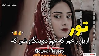 Tor Orbal Ra Khor Ka Jor Da Bangro Shor Ka 🥰 ( Slowed And Reverb ) Pashto New Song - Deedanoona