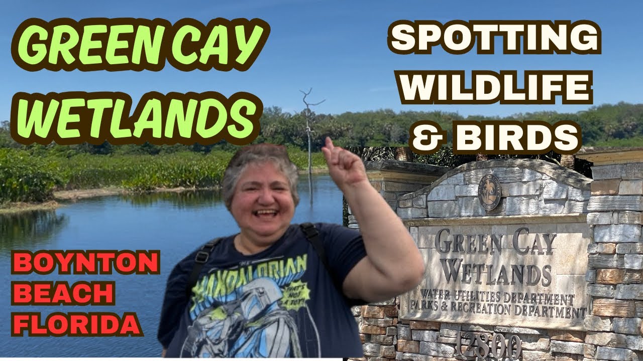Explore the Hidden Gem of Boynton Beach: Green Cay Wetlands with RockinRobin Roadtrips