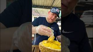 Durian pertama di Malaysia... Kesalahan BESAR!😆🇲🇾#celanapendek