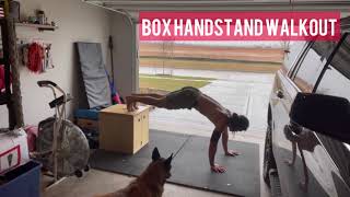 Box handstand walkout (with commentary)