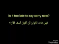 ترجمة أغاني justin bieber . soory
