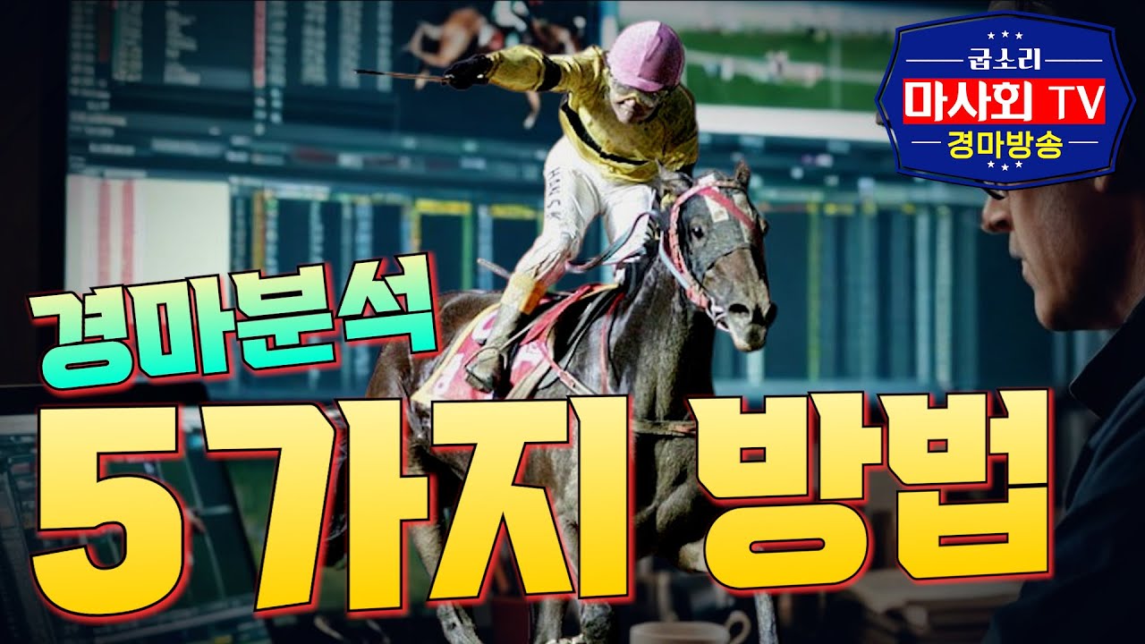 [경마] 분석시 가장 먼저 해야될 5가지!!(경주추리 분석방법)#경마분석방법#경주기록#굽소리마사회경마