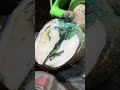 Cow S Hoof Turns BLUE Hoof Cow Animals Hoofpicking Satisfying Weird