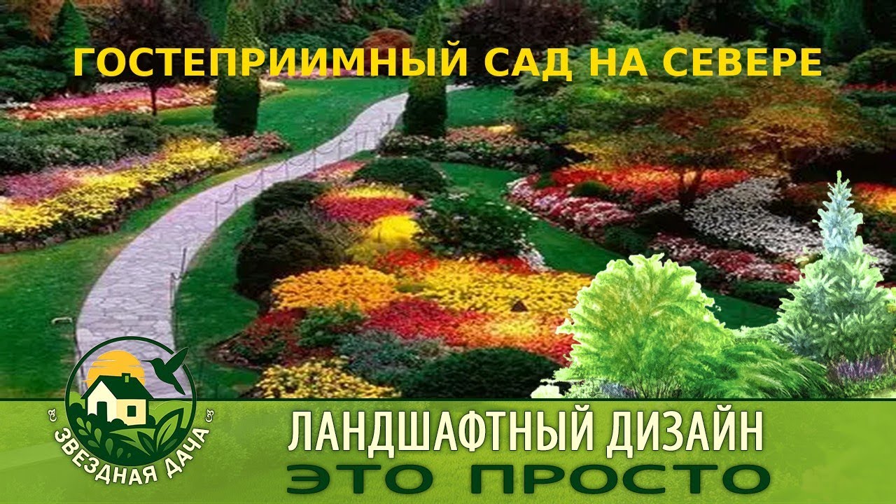 ГОСТЕПРИИМНЫЙ САД НА СЕВЕРЕ/ Ландшафтный дизайн - это просто/ Звёздная Дача!