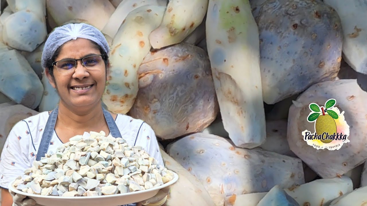 Kerala style traditional arrowroot powder making process /  ശുദ്ധമായ കൂവപ്പൊടി എങ്ങനെ തയ്യാറാക്കാം 😱