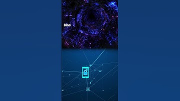 Blockchain VS Data Science | Digital Transformation | Digital Melons