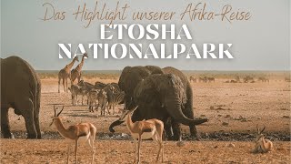 Namibia Roadtrip: Ep 5 | Auf eigene Faust im Etosha Nationalpark