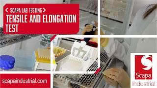 Tensile and Elongation Test