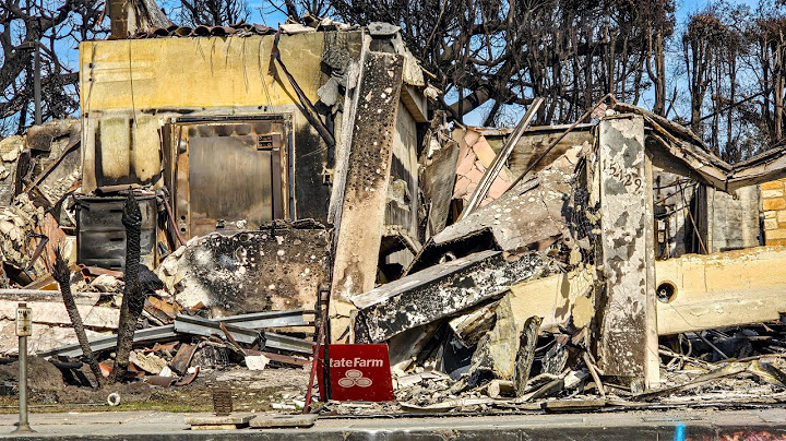 Driving Through the Aftermath: Sunset Boulevard Shows Devastation From Palisades Fire