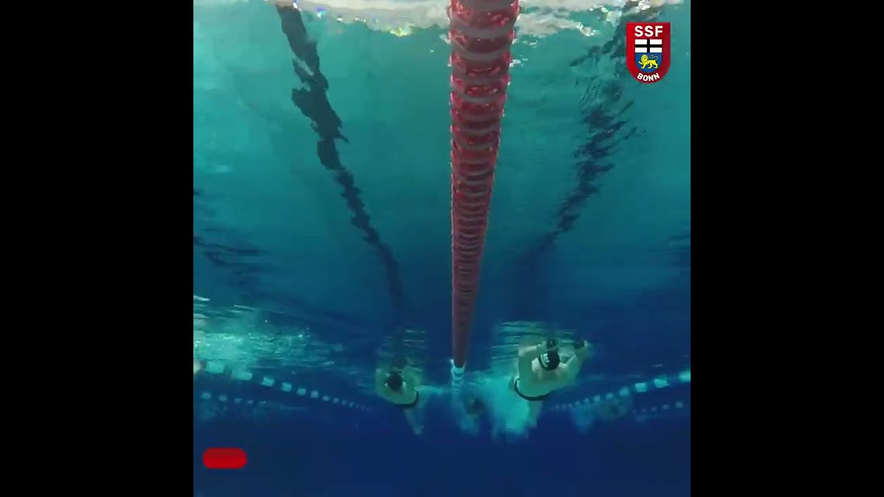 SSF Bonn - Schwimmen