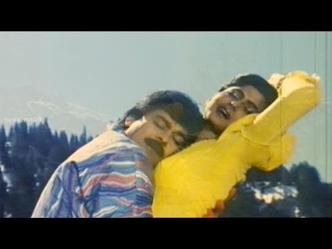 khaidi-no-786-movie-||-chali-gaali-kottindhammo-video-song-||-chiranjeevi,-bhanupriya