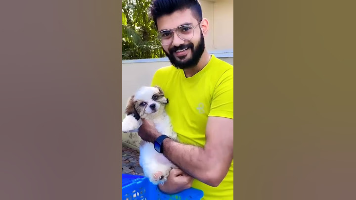 new member arrived 🥰, camera - wall and hidden tripod | sheethal and vinu | sheethal elzha